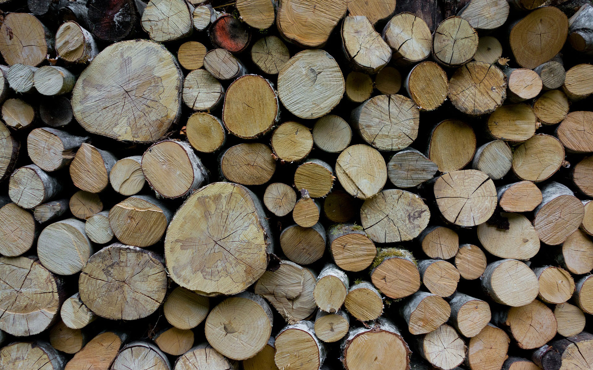 Raw Material Stocking